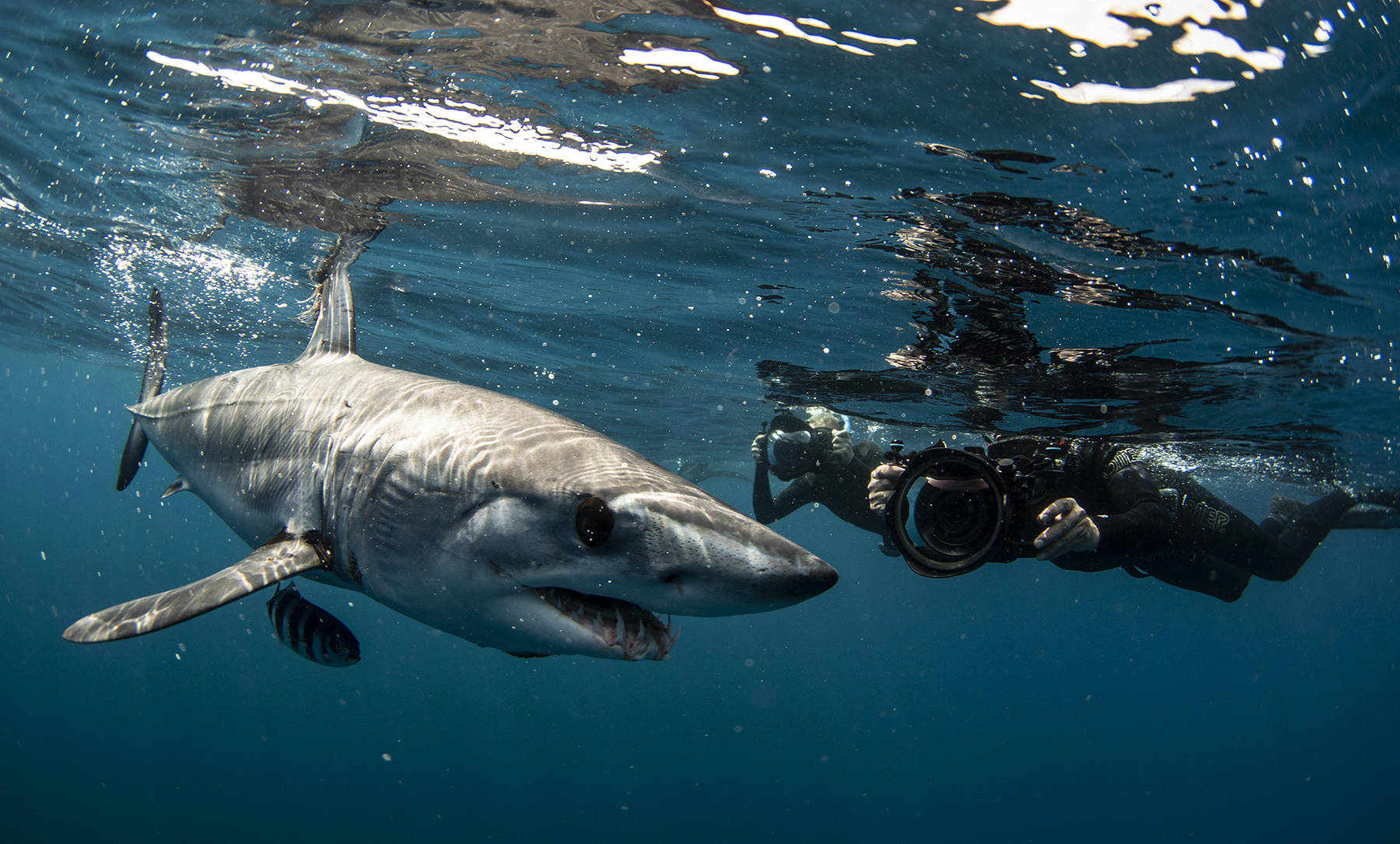 Film Crews and Media Projects